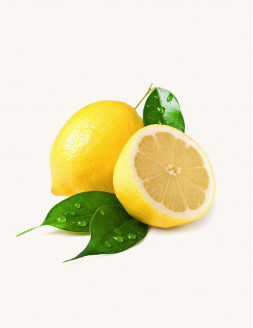 Lemon Detox Diet -...