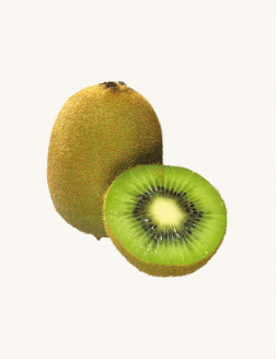 Kiwi Exotic Fruits