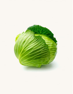 Vegetables Cabbage Round